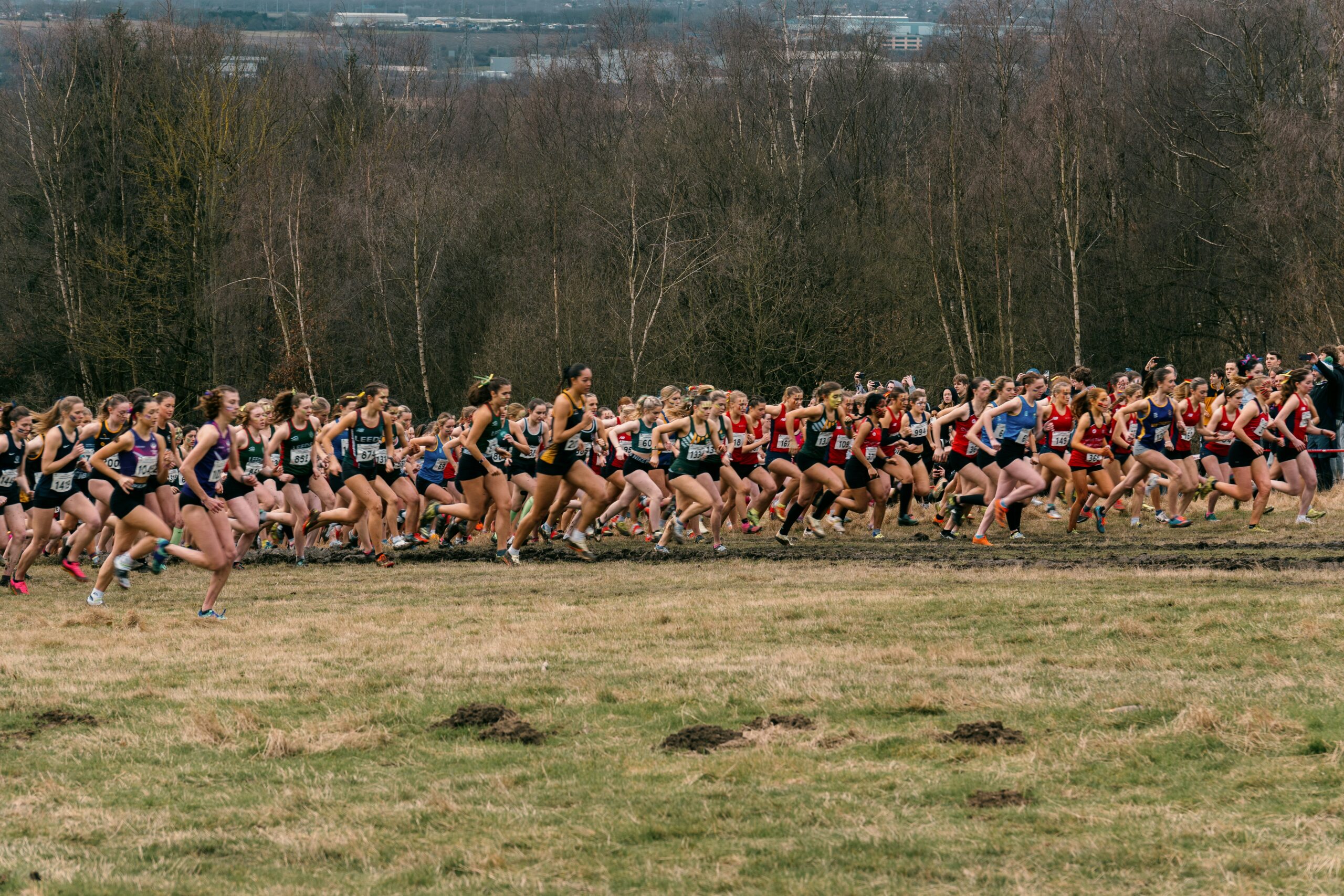 female cross country runners in large pack at start of a race.